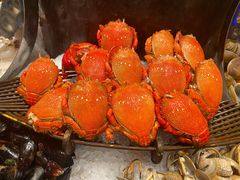 -安蒂娅·海鲜自助餐厅(安蒂娅美兰酒店)