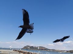-呈贡滇池生态湿地公园