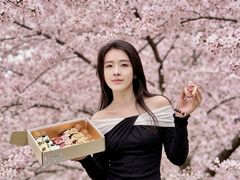 -杜哈夫DOUX RÊVE·生日蛋糕(日月光店)