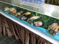-雨林餐厅(长隆海洋王国店)