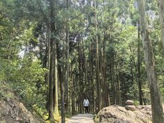 -雁荡山风景名胜区
