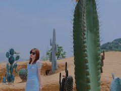 -西海岸生态观光园