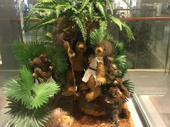-济州岛泰迪熊博物馆