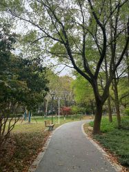 点击看大图 -茜尔维亚修身连锁