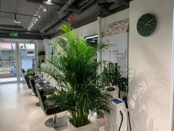 -Will+ Hair Studio
