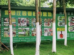 -勇士之星真人CS·团建·拓展(清水河公园店)