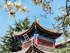 -西安市广仁寺
