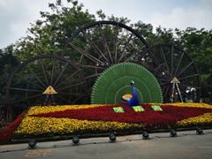 -呀路古热带植物园