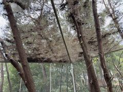 -杭州千岛湖开元度假村