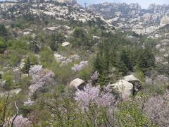 -崂山巨峰游览区