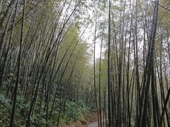 -千泷沟大瀑布旅游区