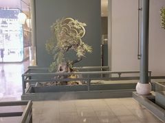 -潮上潮(南中环店)