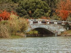 -昆山城市生态森林公园