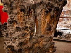 -波斯托伊纳溶洞