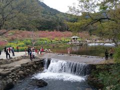 -广州市石门国家森林公园