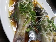 -大班家政月嫂育儿嫂(深圳NO.1店)