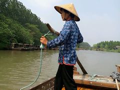 -溱湖国家湿地公园