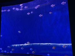 -沈阳海洋探索中心