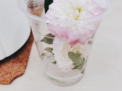 -浆木咖啡馆(湘子庙街店)