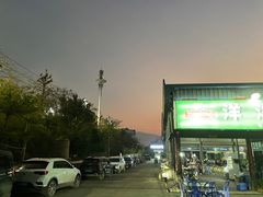 -杨合林啊兰烤鱼