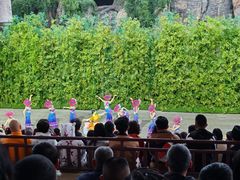 -杭州宋城