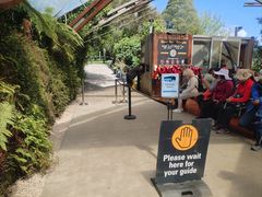 -怀托摩萤火虫洞