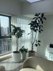 -HEYAN荷妍专业脱毛连锁机构