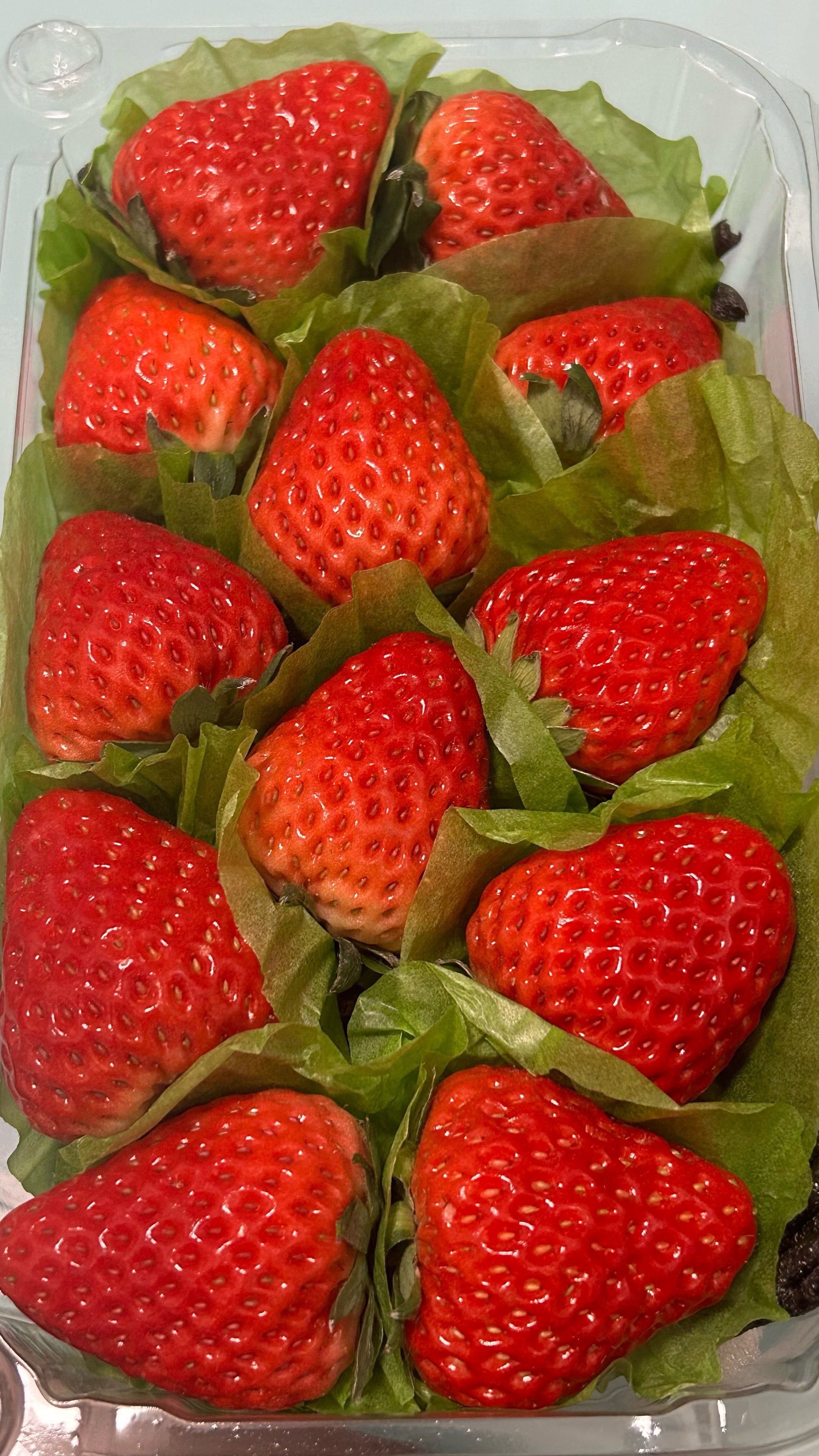 91草莓