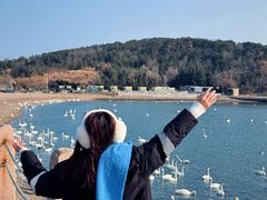 -烟墩角天鹅湖