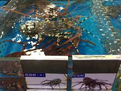 -清水湾3号(东方小周海鲜店)