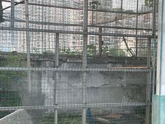 -柴米油盐(土菜院子店)
