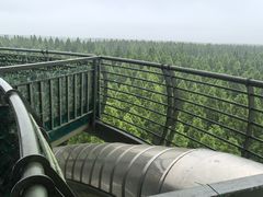 -黄海国家森林公园