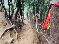 -灵岩山风景区
