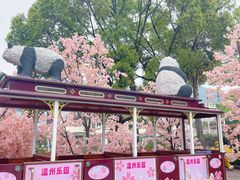 -温州乐园