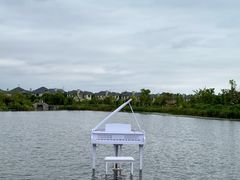 -杭州湾海上花田景区