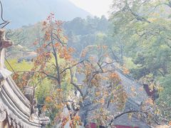 -潭柘寺景区