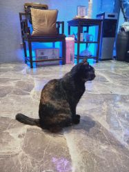 -RL Nail·瑞丽美甲美睫品牌原创店