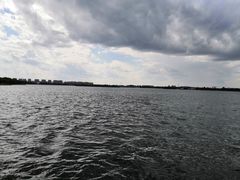 -丁香湖公园