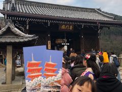 -有栖山 清光院 清水寺