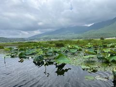 -腾冲北海湿地