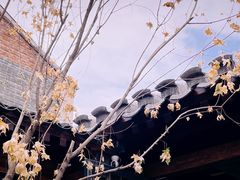 -VOYAGE COFFEE(杨梅竹店)