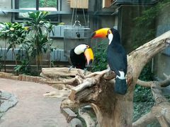 -大连森林动物园