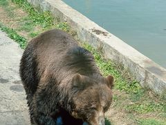 -上海野生动物园