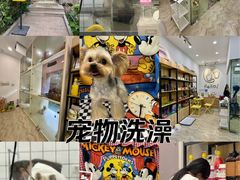 -Pets First伊珊娜洗护·精致美容·家庭式寄养(新会路店)