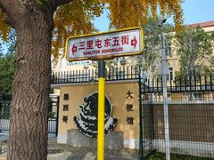 -三里屯东五街银杏大道