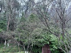 -常德桃花源景区