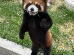 -水上乐园·欢乐世界