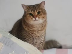 -欧奕国际动物医院