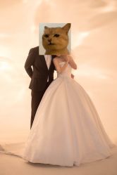 -保定巴黎婚纱摄影