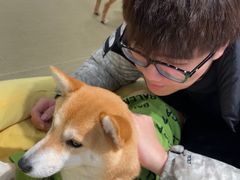 -逗柴咖啡屋·狗咖猫咖宠物桌游